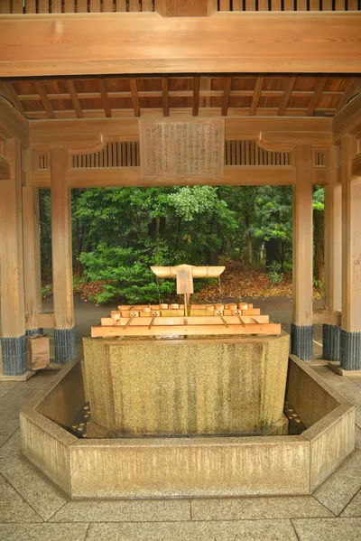 DSC_3332 (Large).JPG